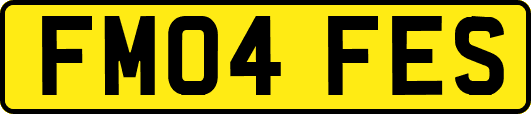 FM04FES