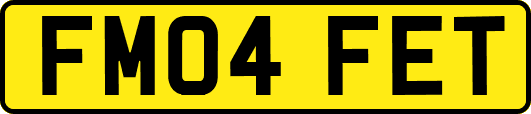 FM04FET