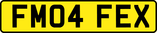 FM04FEX