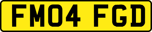 FM04FGD