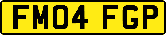 FM04FGP