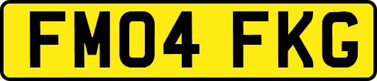 FM04FKG