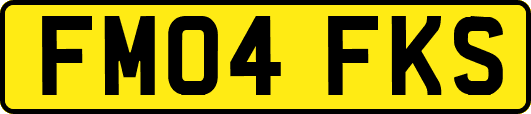 FM04FKS