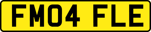 FM04FLE