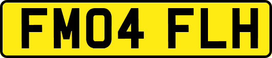 FM04FLH