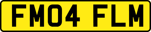 FM04FLM