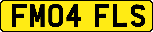 FM04FLS