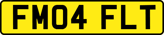 FM04FLT