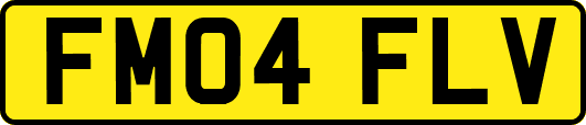 FM04FLV