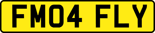 FM04FLY