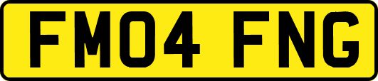 FM04FNG