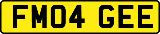 FM04GEE