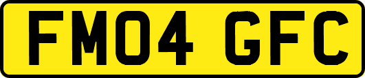 FM04GFC