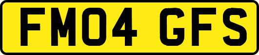 FM04GFS