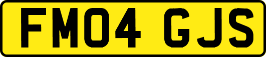 FM04GJS