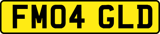 FM04GLD