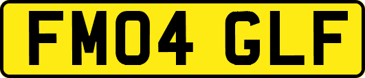 FM04GLF