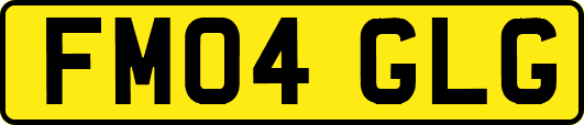 FM04GLG