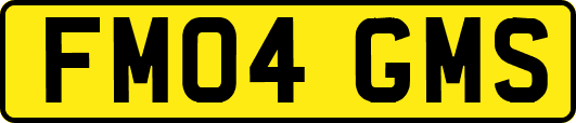 FM04GMS