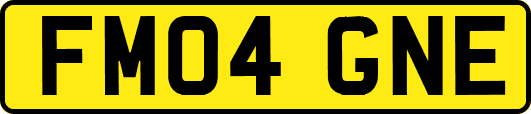 FM04GNE