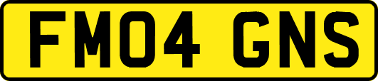 FM04GNS