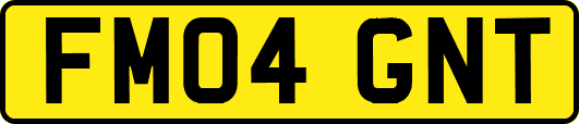 FM04GNT