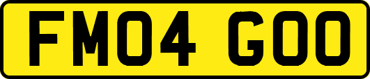 FM04GOO