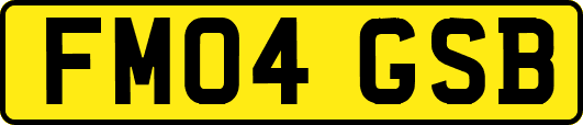 FM04GSB
