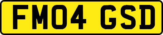 FM04GSD