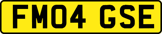 FM04GSE