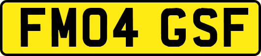 FM04GSF