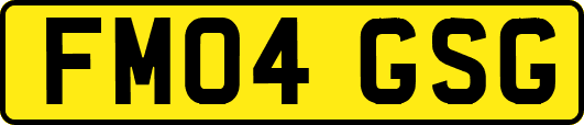 FM04GSG