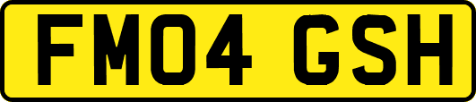FM04GSH