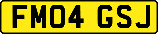 FM04GSJ