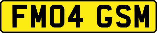 FM04GSM