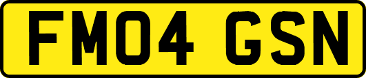 FM04GSN