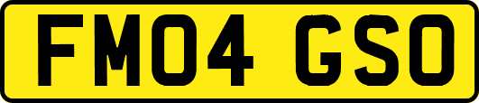 FM04GSO