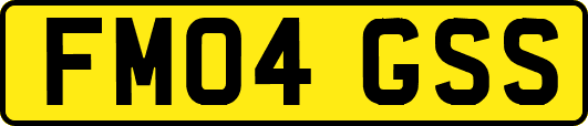 FM04GSS