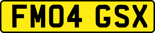 FM04GSX