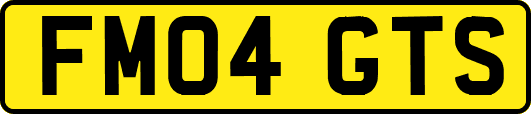 FM04GTS