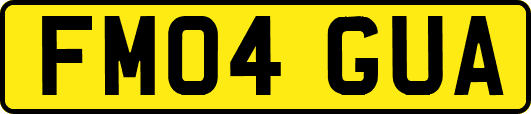 FM04GUA