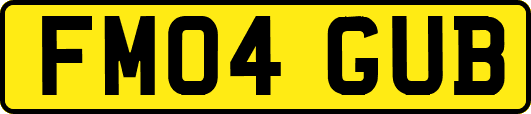 FM04GUB
