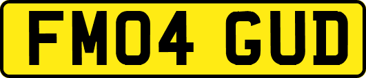 FM04GUD