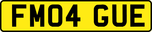 FM04GUE