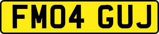FM04GUJ