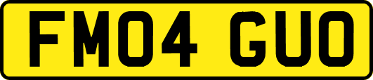 FM04GUO