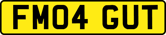 FM04GUT