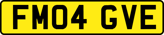 FM04GVE