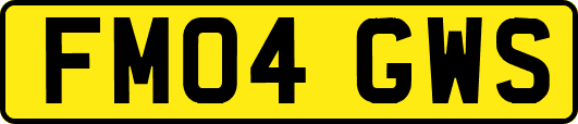 FM04GWS