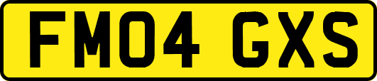 FM04GXS